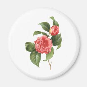 Aimant Floral vintage, Fleurs de Camellia Rose par Redout