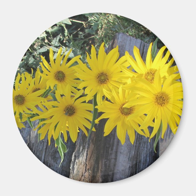 Aimant Flores en mi hierbas " fleurs dans mes mauvaises h (Devant)