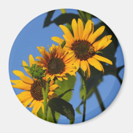 Aimant Flores en mi hierbas " fleurs dans mes mauvaises h