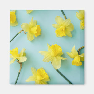 Aimant Flowers (homonymie)   Daffodils