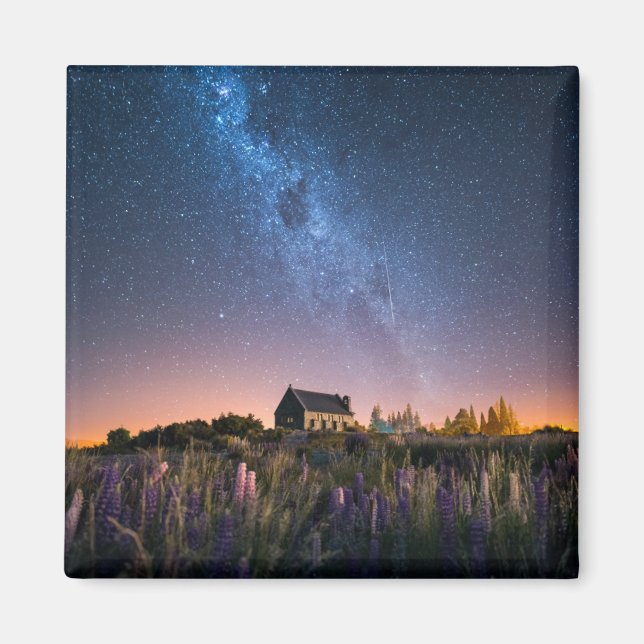 Aimant Flowers (homonymie) | Lupines Blooming Lake Tekapo (Devant)