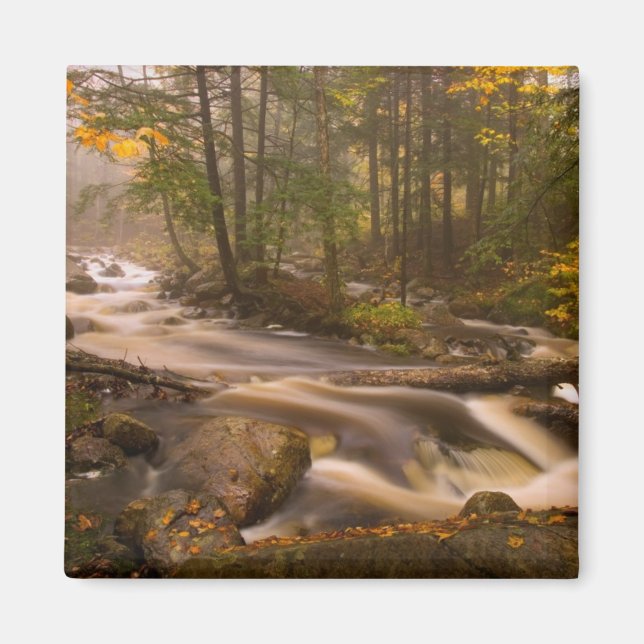 Aimant Flux Flux Sentier Appalachien | Vermont (Devant)