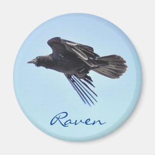 Aimant Flying Raven in Blue Sky HDR Design photo