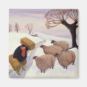 Aimant Foin de transport aux moutons en hiver