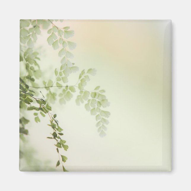 Aimant Foliage de printemps (Devant)
