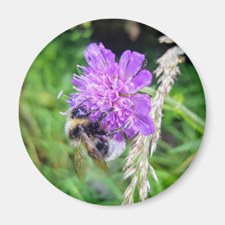 Aimant Force de la floraison