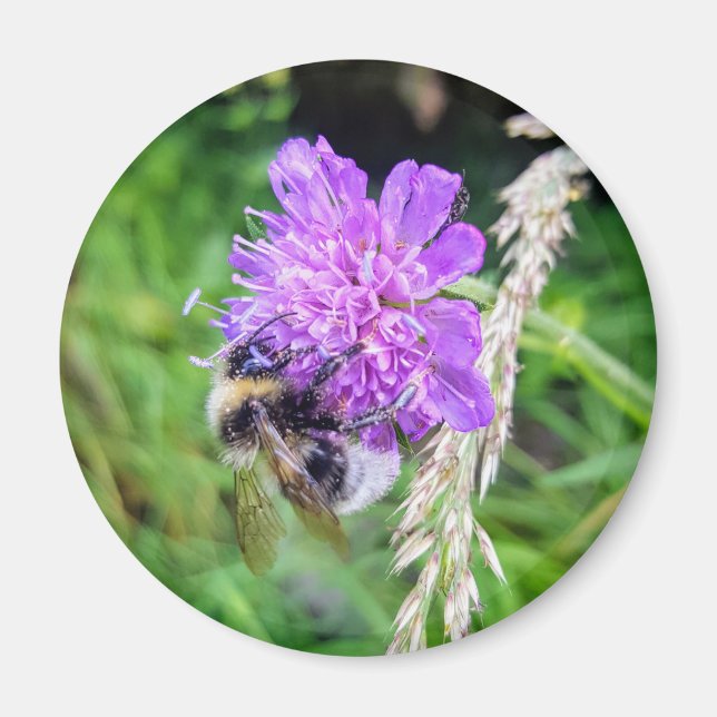 Aimant Force de la floraison (Devant)