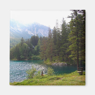Aimant Forêt alpine pittoresque et lac Photo