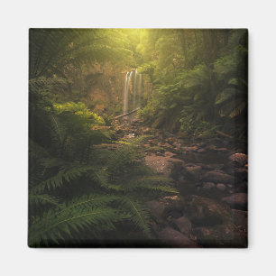 Aimant Forêt Cascade Sunlight Highlights