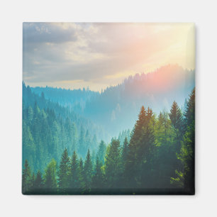Aimant Forêt de pin dans les dolomites, Italie