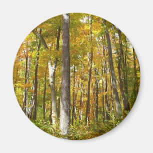 Aimant Forêt du paysage d'automne Feuille Jaune