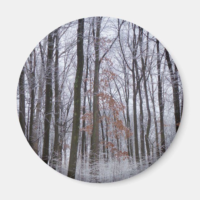 Aimant Forêt huppée neige paysage d'hiver Photographie (Devant)