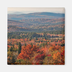 Aimant Forêt nationale des White Mountains New Hampshir