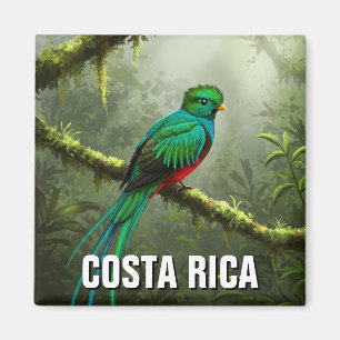 Aimant Forêt nuageuse de Quetzal Monteverde
