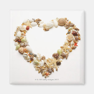 Aimant Forme assortie de coeur de forme de coquillages