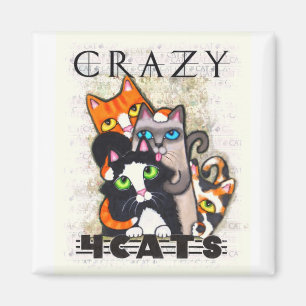 Aimant Fou pour l'aimant de chats