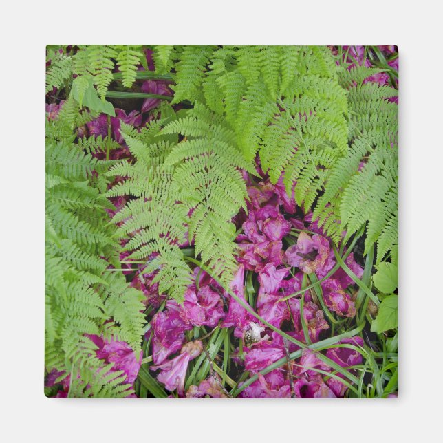 Aimant fougères forestières avec pétales de fleurs roses  (Devant)
