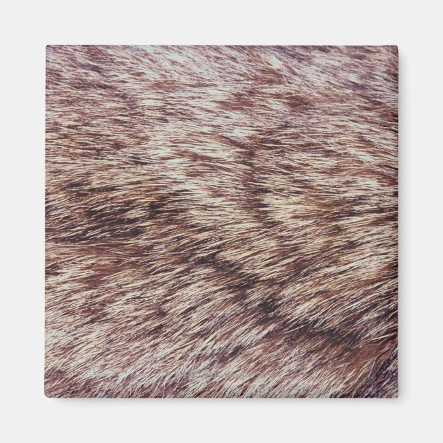 Aimant Fourrure de Lynx (Devant)