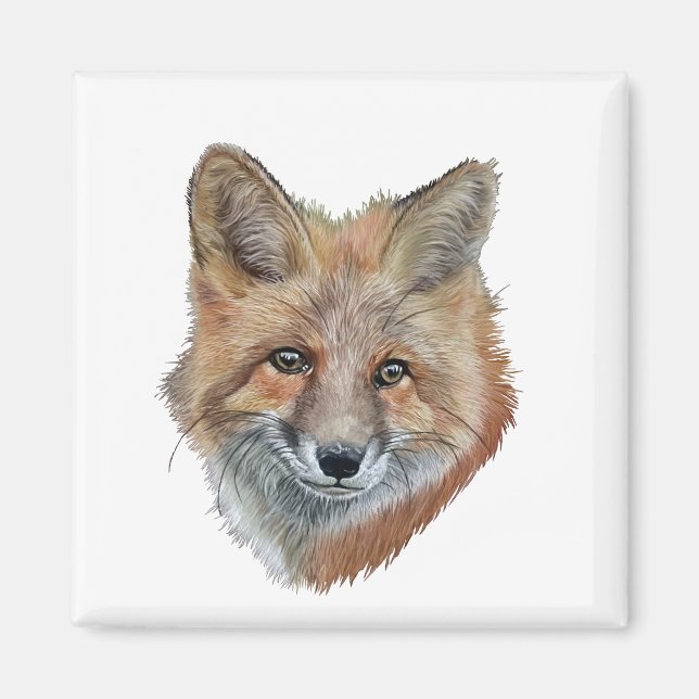 Aimant Fox (Devant)