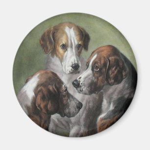 Aimant Fox Hounds