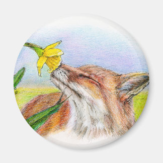 Aimant Foxy