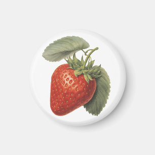 Aimant Fraise vintage