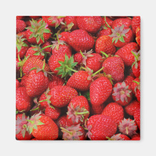 Aimant Fraises