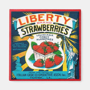 Aimant Fraises de Liberty