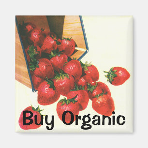 Aimant Fraises vintages en Panier, Fruits alimentaires