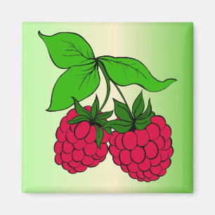Aimant framboise