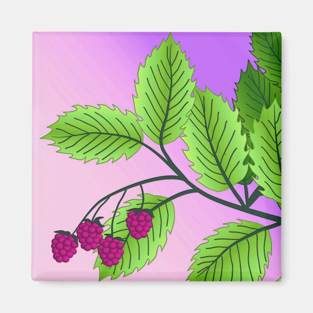 Aimant Framboises sur une branche (Devant)