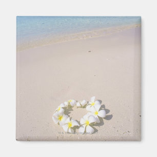 Aimant Frangipani sur la plage