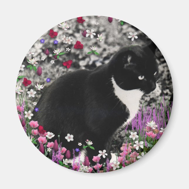 Aimant Frapules en Fleurs II - Tuxedo Cat (Devant)