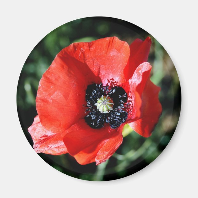 Aimant frigidaire de Poppy (Devant)