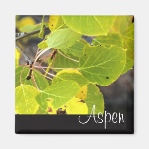 Aimant frigo Aspen