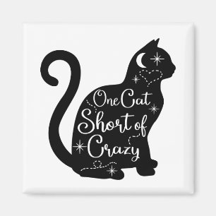 Aimant frigo de chat