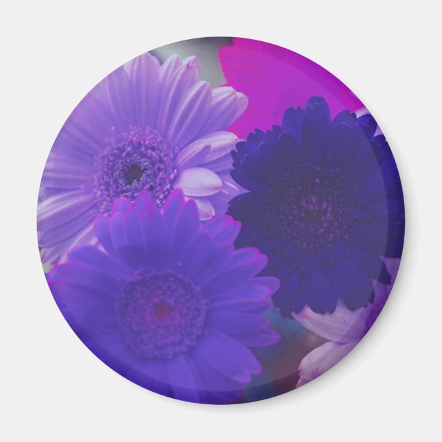Aimant frigorifique à fleur de Gerbera violet (Devant)