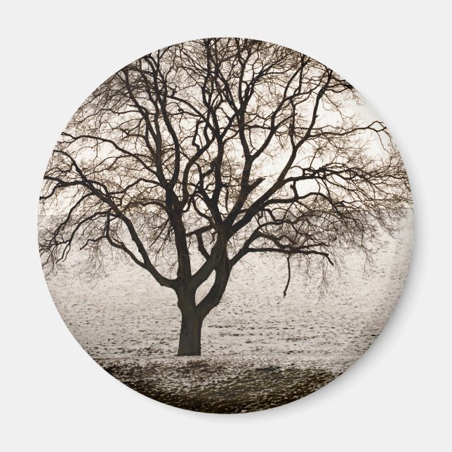 Aimant froid et agréable (Devant)