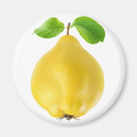 Fruit de coing