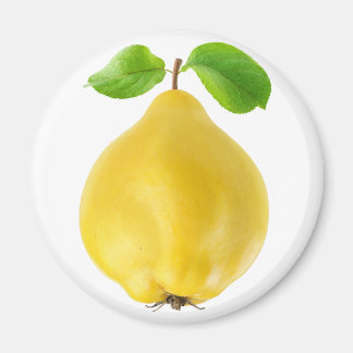 Aimant Fruit de coing