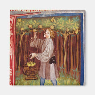 Aimant Fruit de cueillette