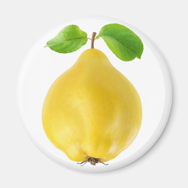 Aimant Fruits de coing (Devant)