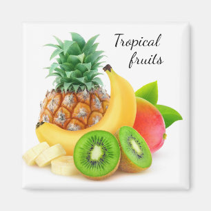 Aimant Fruits tropicaux