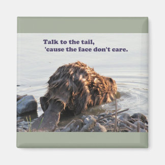 Aimant Funny Beaver