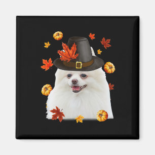 Aimant Funny Casquette Pèlerin de Chien Poméranie Happy M