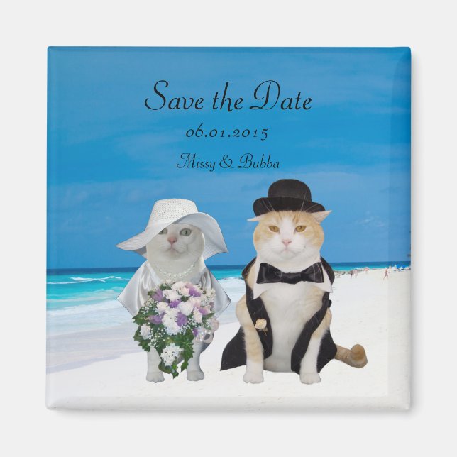 Aimant Funny Cats Beach Wedding Enregistrer la date (Devant)