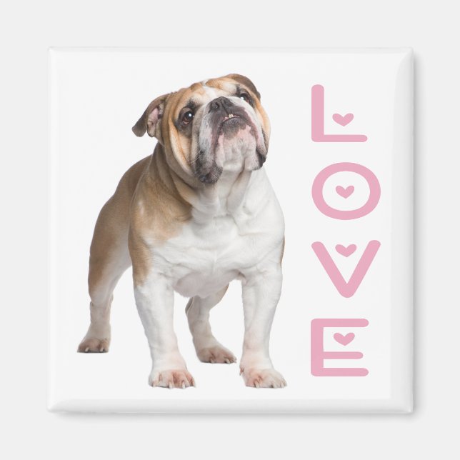 Aimant Funny English Bulldog Maman Aimer Chien Chien Chie (Devant)