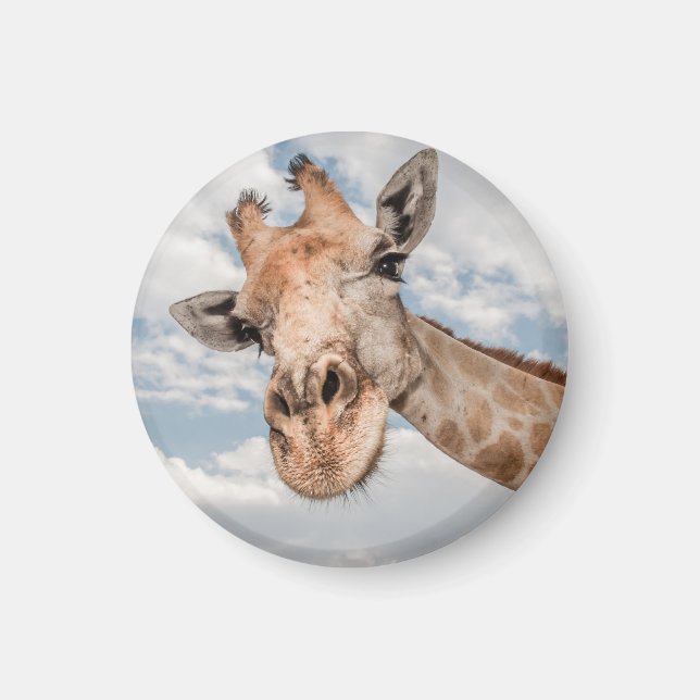 Aimant Funny Giraffe (Devant)