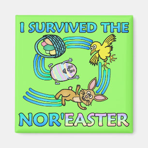 Aimant Funny I Survive the Nor'Easter