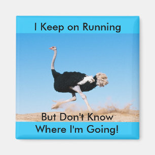 Aimant Funny Keep on Running Ostrich Photo